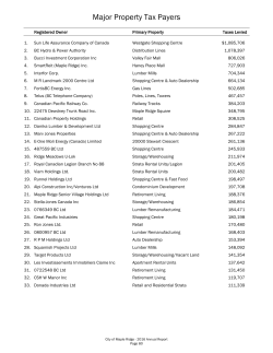 Major Property Tax Payers