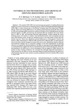 patterns in the provisioning and growth of nestling rhinoceros auklets