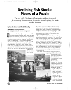 Declining Fish Stocks: Pieces of a Puzzle