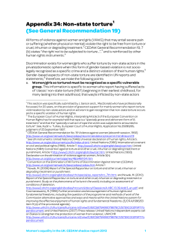 Appendix 34: Non-state torture