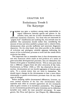 Chapter 12. Evolutionary Trends I. The Karyotype