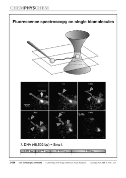 Single-Molecule Studies on DNA and RNA