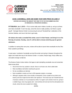 save a snowball now and name your own price on june 21