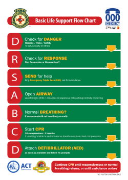 Basic Life Support Flow Chart