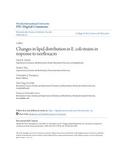 Changes in lipid distribution in E. coli strains in response to norfloxacin