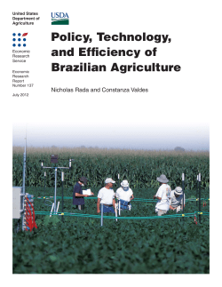 Policy, Technology, and Efficiency of Brazilian Agriculture