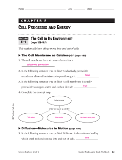 Ch. 5 Cell Processes and Energy