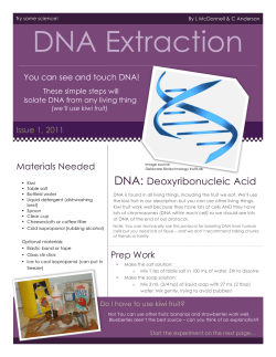 DNA extraction instructions