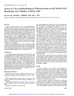 Action of l-&Atilde;&Yuml;-D-Arabinofuranosyl-5