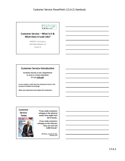 Customer Service Introduction