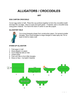 ALLIGATORS / CROCODILES