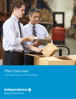 Blue Solutions Plus Plan Overview