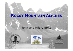 rocky mountain alpines