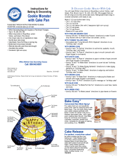 the PDF of instructions for decorating this cake.