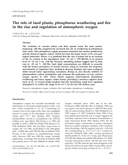 The role of land plants, phosphorus weathering and &reg;re