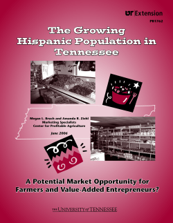 The Growing Hispanic Population in Tennessee