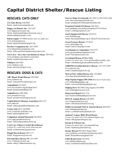Capital District Shelter/Rescue Listing