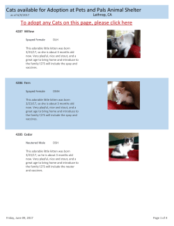 Cats available for Adoption at Pets and Pals Animal Shelter To
