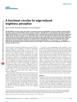 A functional circuitry for edge
