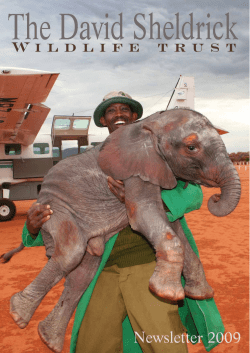 Untitled - The David Sheldrick Wildlife Trust