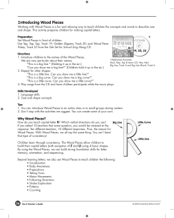 introducing Wood Pieces