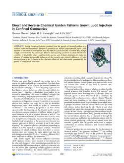 Direct and Reverse Chemical Garden Patterns Grown upon Injection
