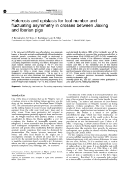 Heterosis and epistasis for teat number and fluctuating