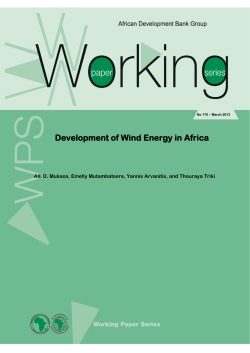 Working Paper 170 - Development of Wind Energy in Africa