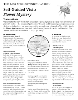 Self-Guided Visit: Flower Mystery TEAChER GUIDE