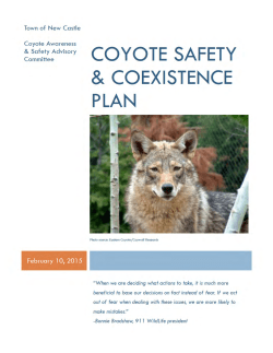 Proposal &ndash; New Castle Coyote Awareness and Safety Advisory