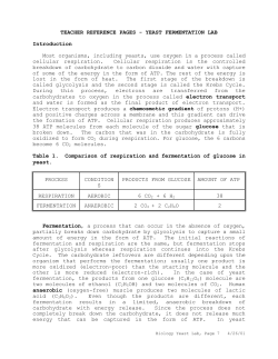 TEACHER REFERENCE PAGES - YEAST FERMENTATION LAB