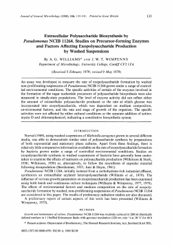 Extracellular Polysaccharide Biosynthesis by