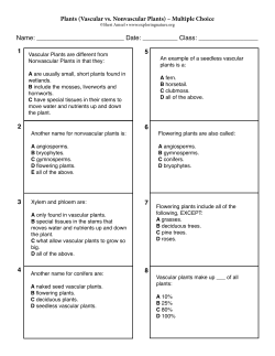 Plants (Vascular vs. Nonvascular Plants) &ndash; Multiple Choice Name