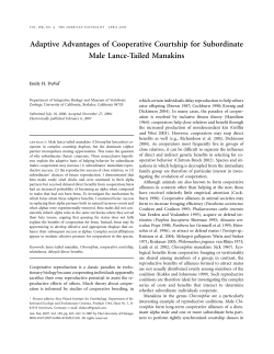 Adaptive Advantages of Cooperative Courtship