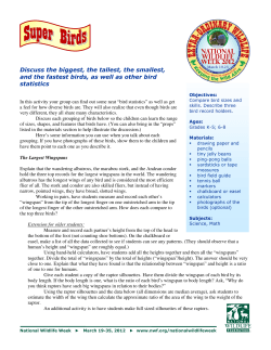 Discuss the biggest, the tallest, the smallest, and the fastest birds, as