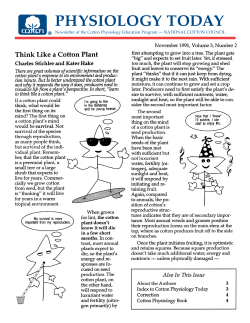 Think Like a Cotton Plant - The National Cotton Council