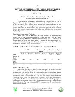 egyptian cotton production to meet the extra