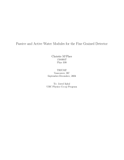 Passive and Active Water Modules for the Fine