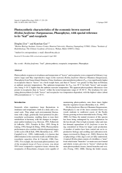 Photosynthetic characteristics of the economic brown seaweed