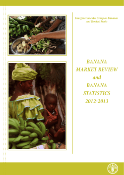 Banana Market Review and Banana Statistics 2012-2013