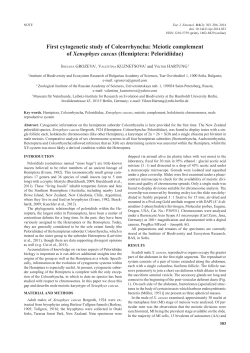 First cytogenetic study of coleorrhyncha: Meiotic complement of