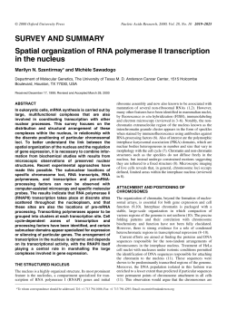 PDF - Oxford Academic - Oxford University Press