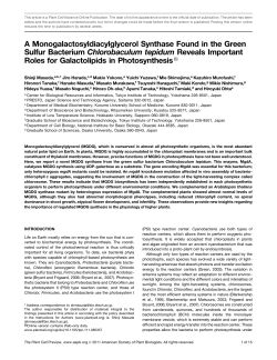 A Monogalactosyldiacylglycerol Synthase Found in