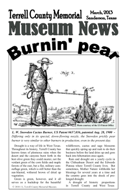 L. W. Snowden Cactus Burner, US Patent #657,036, patented Aug