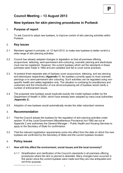 New committee report template 2011