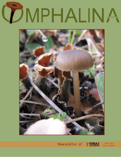 Please check our website in the Spring, 2011