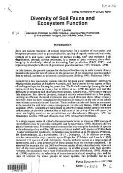 Diversity of soil fauna and ecosystem function