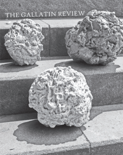 Gallatin Review - NYU Gallatin School of Individualized Study