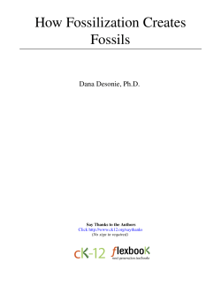 How Fossilization Creates Fossils