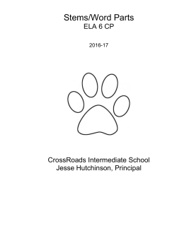 CP Stems Booklet
